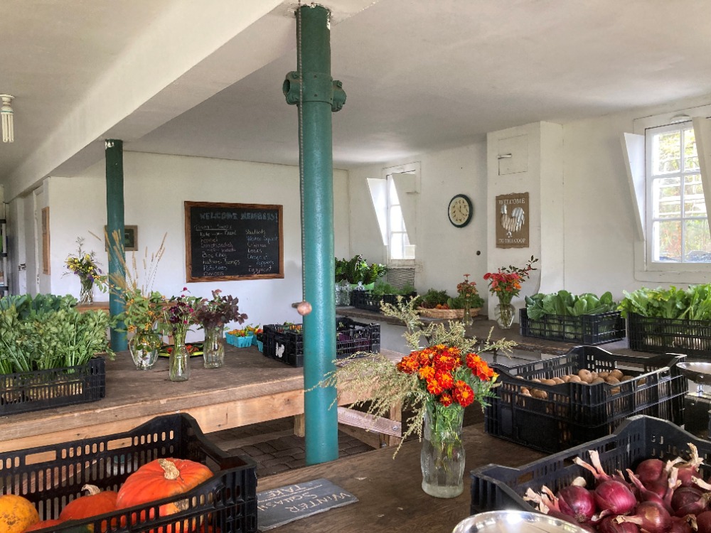 CSA Farm 2022 – a view of the barn with harvested vegetables