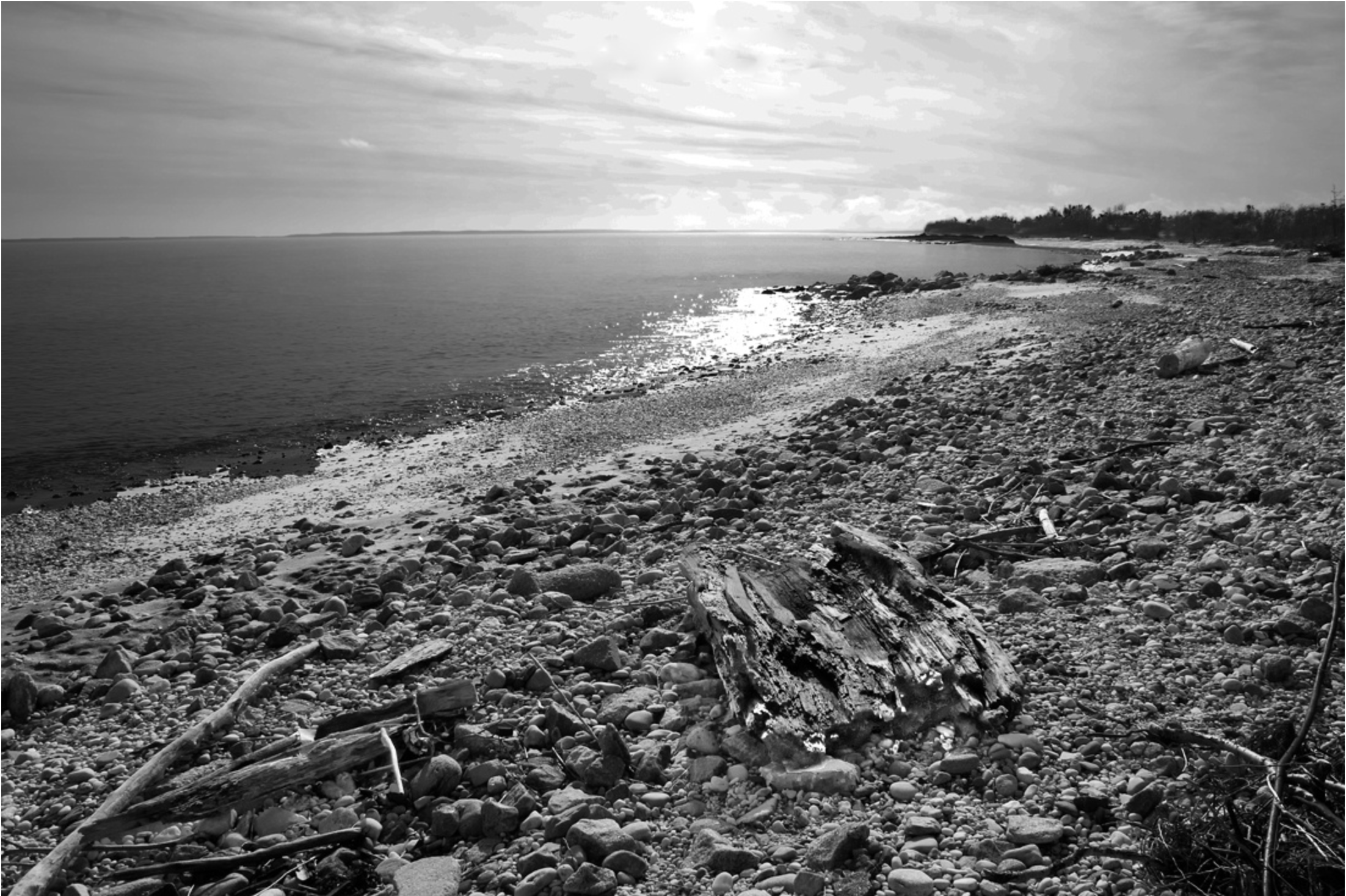 Black and White Photograph of Orient State Park, by Long Island Photographer Raymond Germann